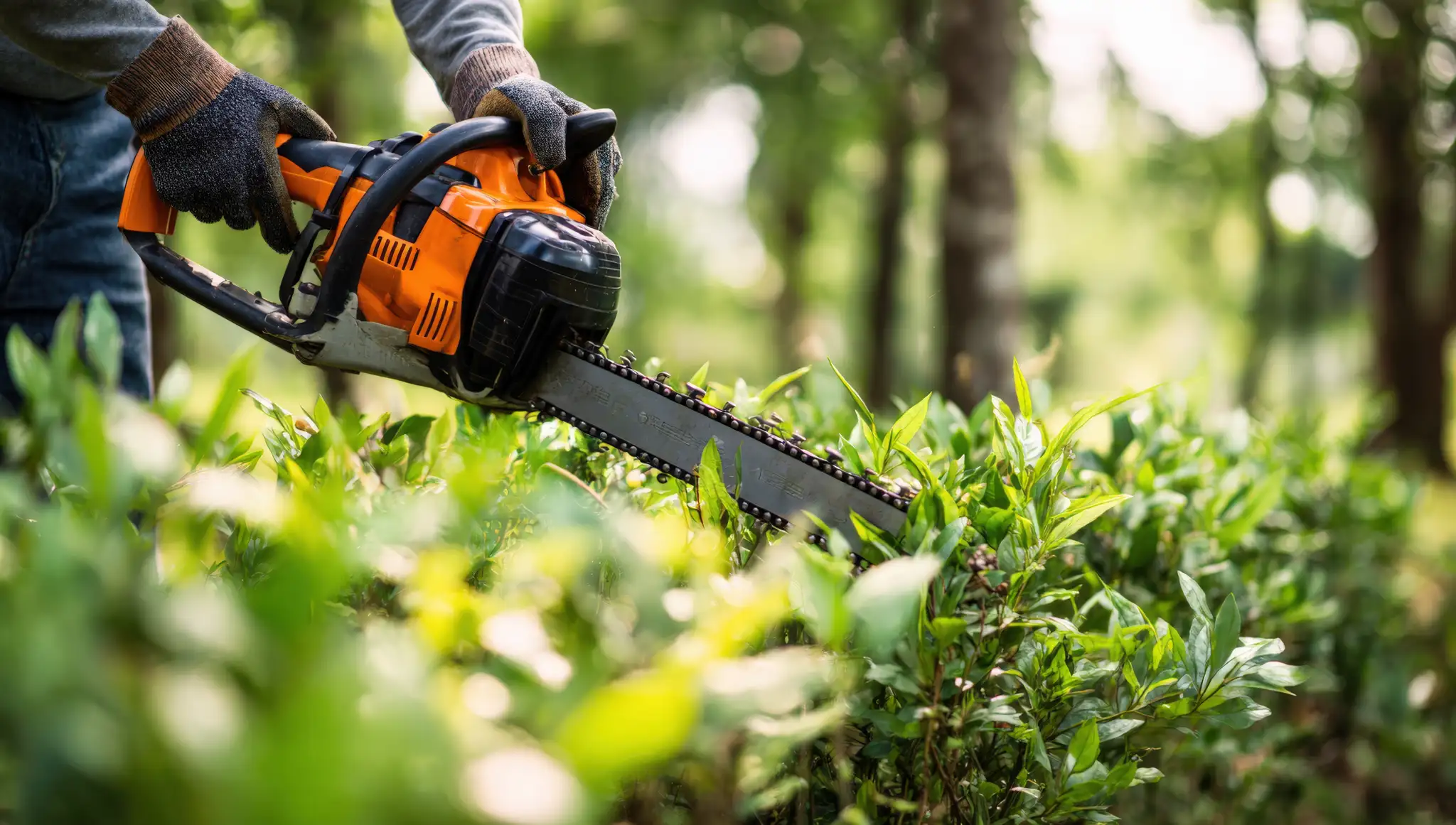 Hedge cutting and vegetation control